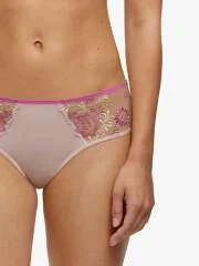 Boxer - Anna – Image 3